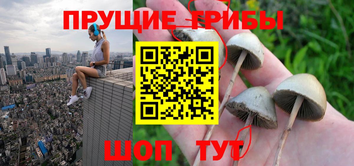 Галлюциногенные грибы мухоморы Прокопьевск