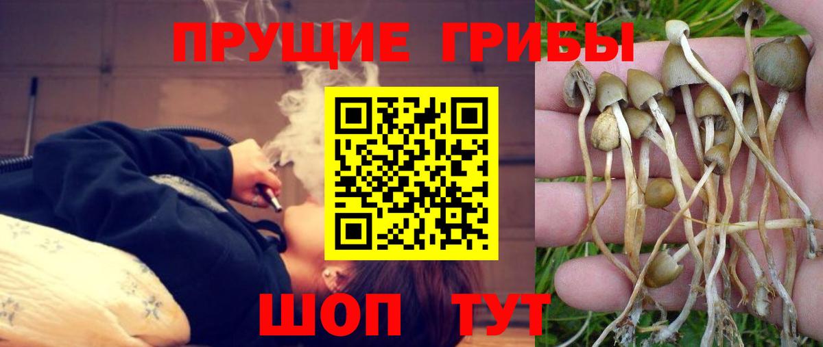 Прокопьевск  где купить наркоту  Вход с VPN  Галлюциногенные грибы мухоморы 